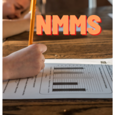 NMMS mock test